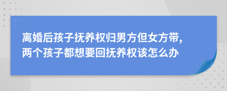 离婚后孩子抚养权归男方但女方带, 两个孩子都想要回抚养权该怎么办