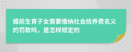 婚前生育子女需要缴纳社会抚养费名义的罚款吗，是怎样规定的