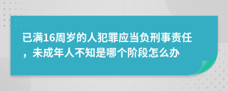 已满16周岁的人犯罪应当负刑事责任，未成年人不知是哪个阶段怎么办