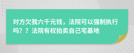 对方欠我六千元钱，法院可以强制执行吗？？法院有权拍卖自己宅基地