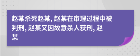 赵某杀死赵某, 赵某在审理过程中被判刑, 赵某又因故意杀人获刑, 赵某