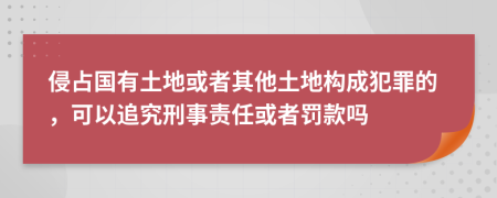 侵占国有土地或者其他土地构成犯罪的，可以追究刑事责任或者罚款吗