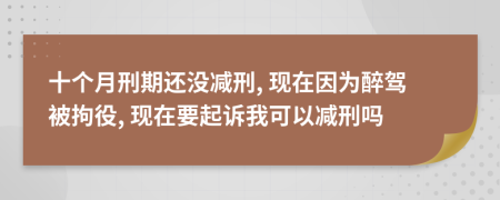 十个月刑期还没减刑, 现在因为醉驾被拘役, 现在要起诉我可以减刑吗