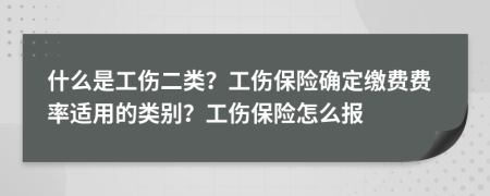 什么是工伤二类？工伤保险确定缴费费率适用的类别？工伤保险怎么报