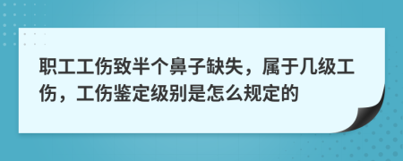 职工工伤致半个鼻子缺失，属于几级工伤，工伤鉴定级别是怎么规定的