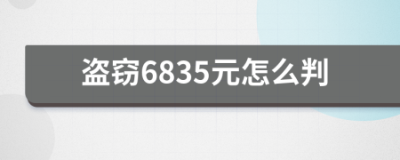 盗窃6835元怎么判