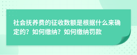 社会抚养费的征收数额是根据什么来确定的？如何缴纳？如何缴纳罚款