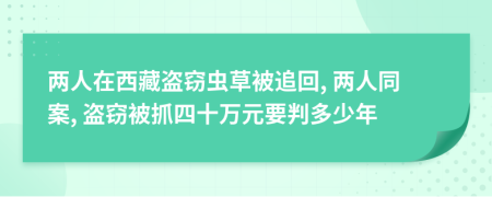 两人在西藏盗窃虫草被追回, 两人同案, 盗窃被抓四十万元要判多少年