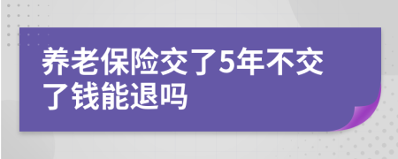 养老保险交了5年不交了钱能退吗