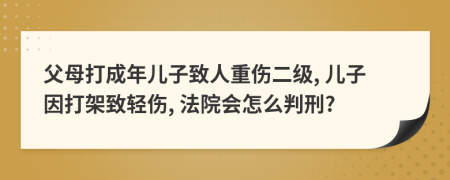 父母打成年儿子致人重伤二级, 儿子因打架致轻伤, 法院会怎么判刑?
