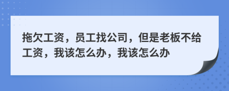 拖欠工资，员工找公司，但是老板不给工资，我该怎么办，我该怎么办