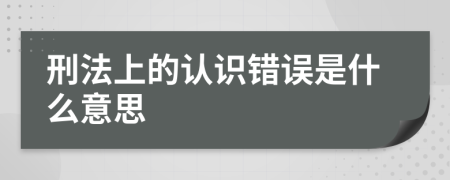 刑法上的认识错误是什么意思