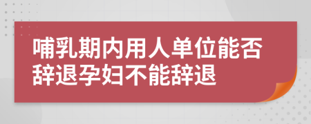 哺乳期内用人单位能否辞退孕妇不能辞退