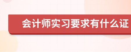 会计师实习要求有什么证