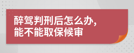 醉驾判刑后怎么办, 能不能取保候审