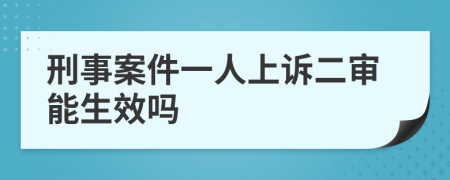 刑事案件一人上诉二审能生效吗