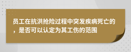 员工在抗洪抢险过程中突发疾病死亡的，是否可以认定为其工伤的范围