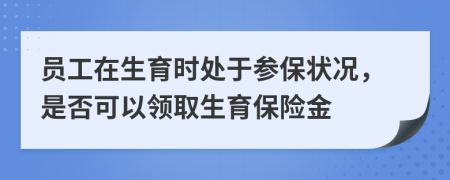 员工在生育时处于参保状况，是否可以领取生育保险金