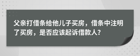 父亲打借条给他儿子买房，借条中注明了买房，是否应该起诉借款人？