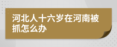 河北人十六岁在河南被抓怎么办