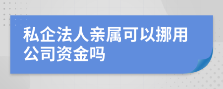 私企法人亲属可以挪用公司资金吗