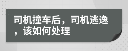 司机撞车后，司机逃逸，该如何处理