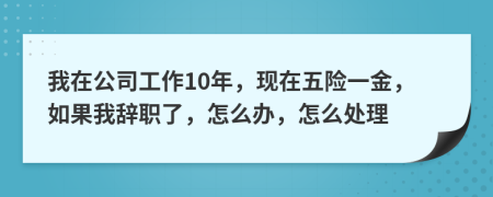 我在公司工作10年，现在五险一金，如果我辞职了，怎么办，怎么处理