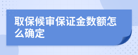 取保候审保证金数额怎么确定