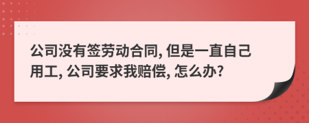 公司没有签劳动合同, 但是一直自己用工, 公司要求我赔偿, 怎么办?