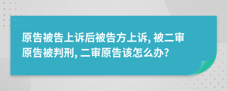 原告被告上诉后被告方上诉, 被二审原告被判刑, 二审原告该怎么办?