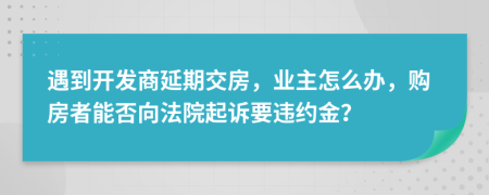 遇到开发商延期交房，业主怎么办，购房者能否向法院起诉要违约金？