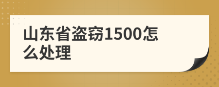 山东省盗窃1500怎么处理