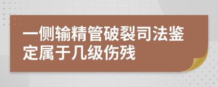 一侧输精管破裂司法鉴定属于几级伤残