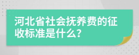 河北省社会抚养费的征收标准是什么？