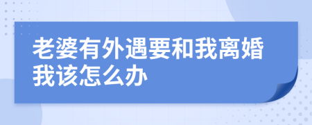 老婆有外遇要和我离婚我该怎么办