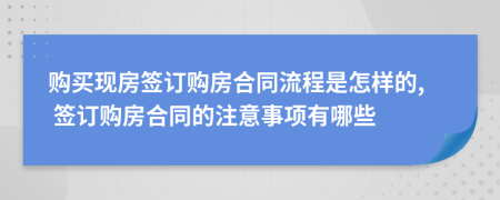 购买现房签订购房合同流程是怎样的, 签订购房合同的注意事项有哪些