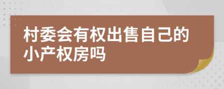 村委会有权出售自己的小产权房吗