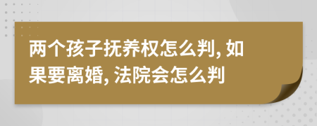 两个孩子抚养权怎么判, 如果要离婚, 法院会怎么判
