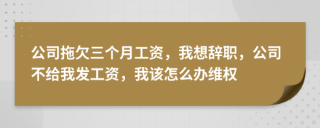 公司拖欠三个月工资，我想辞职，公司不给我发工资，我该怎么办维权