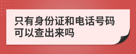 只有身份证和电话号码可以查出来吗