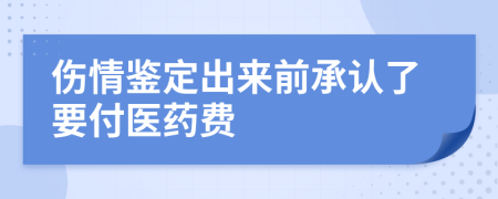 伤情鉴定出来前承认了要付医药费