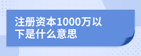 注册资本1000万以下是什么意思