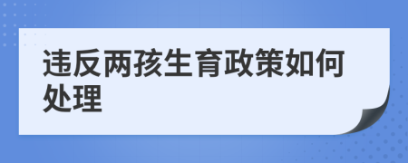 违反两孩生育政策如何处理