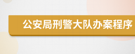 公安局刑警大队办案程序