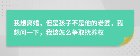 我想离婚，但是孩子不是他的老婆，我想问一下，我该怎么争取抚养权