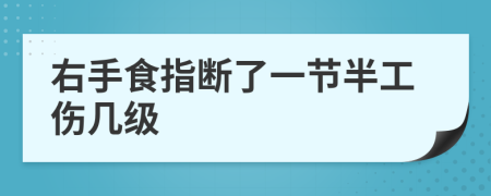 右手食指断了一节半工伤几级