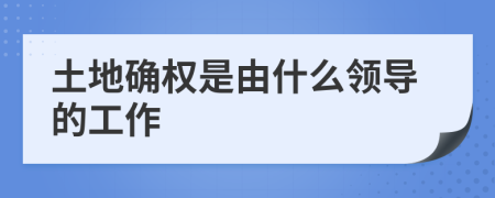 土地确权是由什么领导的工作