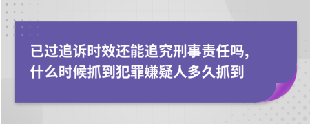 已过追诉时效还能追究刑事责任吗, 什么时候抓到犯罪嫌疑人多久抓到