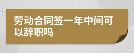 劳动合同签一年中间可以辞职吗