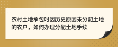 农村土地承包时因历史原因未分配土地的农户，如何办理分配土地手续